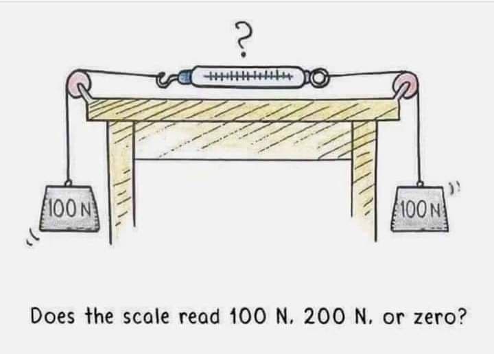 100N
100 N
Does the scale read 100 N. 200 N, or zero?
n.
