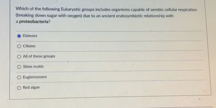 Which of the following Eukaryotic groups includes organisms capable of aerobic cellular respiration
(breaking down sugar with oxygen) due to an ancient endosymbiotic relationship with
a proteobacteria?
Diatoms
Ciliates
O All of these groups
O Slime molds
O Euglenozoans
Red algae
