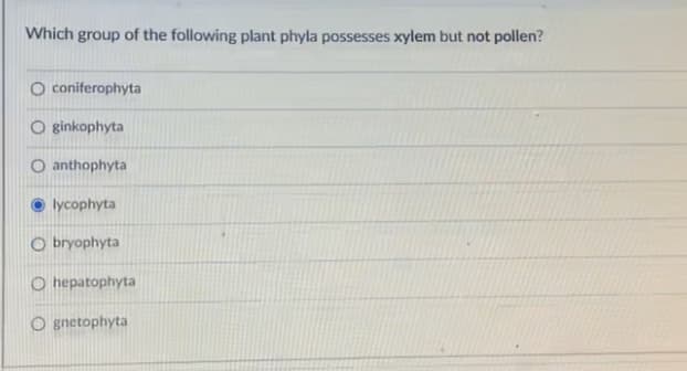 Which group of the following plant phyla possesses xylem but not pollen?
O coniferophyta
O ginkophyta
O anthophyta
lycophyta
O bryophyta
O hepatophyta
O gnetophyta
