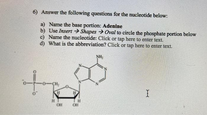 6) Answer the following questions for the nucleotide below:
a) Name the base portion: Adenine
b) Use Insert → Shapes > Oval to circle the phosphate portion below
c) Name the nucleotide: Click or tap here to enter text.
d) What is the abbreviation? Click or tap here to enter text.
NH,
0-CH,
H
OH
OH
