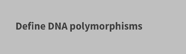 Define DNA polymorphisms
