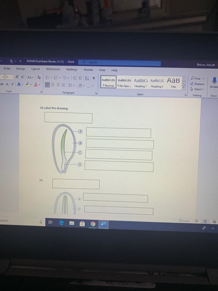 PAFNR Final Exam Review 21 (1) - Word
6 Search
Brown, Aniyah
Draw
Design
Layout
References
Mailings
Review
View
Help
- 11
- A A Aa- A E-E- E, EE T
AaBbCcD AaBbCcDc AaBbC AaBbCcC AaB
T Normal T No Spac. Heading 1
P Find -
Replace
A - D. A -
目三三三三、 、田。
ab x
Heading 2
Title
Dictate
A Select -
Font
Paragraph
Styles
Editing
Voice
38.Label the drawing:
39.
search
DFocus
明 目
