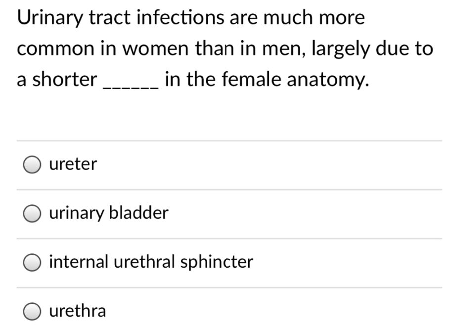 Urinary tract infections are much more
common in women than in men, largely due to
a shorter
in the female anatomy.
ureter
urinary bladder
internal urethral sphincter
urethra