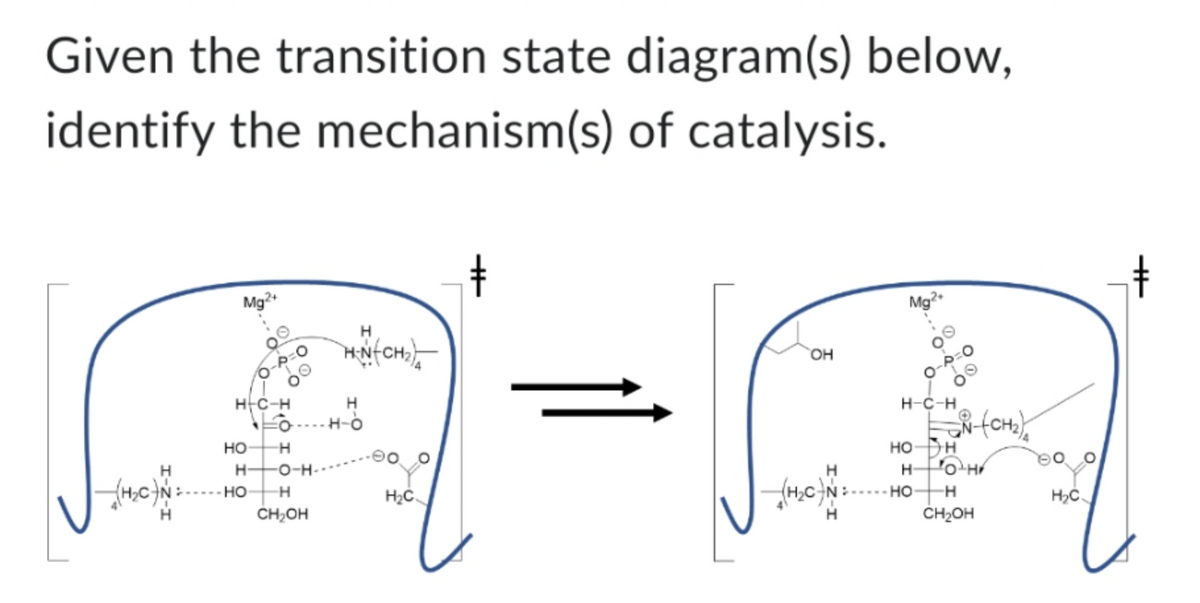 Given the transition state diagram(s) below,
identify the mechanism(s) of catalysis.
Mg2+
Mg2+
H
OH
H-C-H
HOH
H
H
- (M₂C)N=
H
H-C-H
HO -H
H-
HO -H
OH-O
-O-H-
H-N(CH₂)
CH₂OH
H
H₂C
H
H
LN (CH2)
H
OH
HOH:N (0³H)²
CH₂OH
H₂C
t