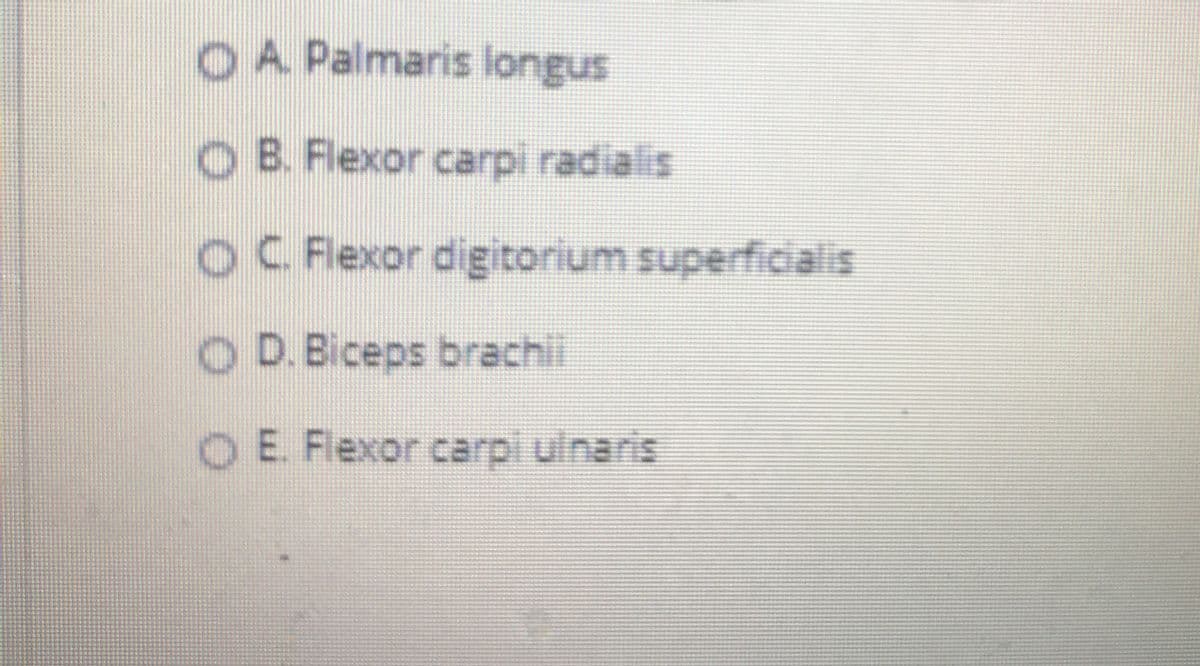 OA Palmaris longus
OB. Flexor carpi radialis
OC Flexor digitorium superficalis
OD.Biceps brachi
OE. Flexor carpi ulnaris

