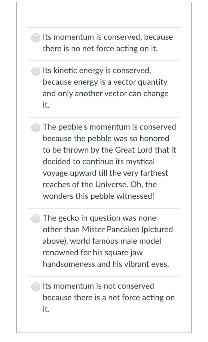 Its momentum is conserved, because
there is no net force acting on it.
Its kinetic energy is conserved,
because energy is a vector quantity
and only another vector can change
it.
The pebble's momentum is conserved
because the pebble was so honored
to be thrown by the Great Lord that it
decided to continue its mystical
voyage upward till the very farthest
reaches of the Universe. Oh, the
wonders this pebble witnessed!
The gecko in question was none
other than Mister Pancakes (pictured
above), world famous male model
renowned for his square jaw
handsomeness and his vibrant eyes.
Its momentum is not conserved
because there is a net force acting on
it.
