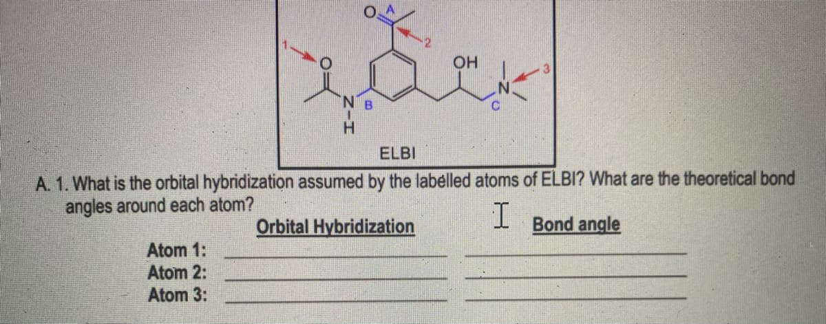 OH
ELBI
A. 1. What is the orbital hybridization assumed by the labelled atoms of ELBI? What are the theoretical bond
angles around each atom?
Orbital Hybridization
I.
Bond angle
Atom 1:
Atom 2:
Atom 3:
