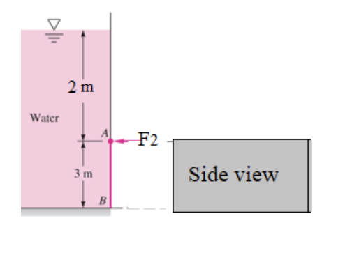 2 m
Water
F2
3 m
Side view
B
