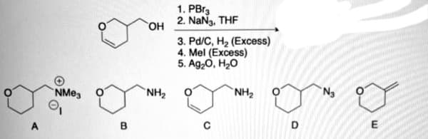 1. PBr,
2. NaNg, THF
HO
3. Pd/C, H2 (Excess)
4. Mel (Excess)
5. Ag,0, H20
NMeg
`NH2
NH2
A
B
D
