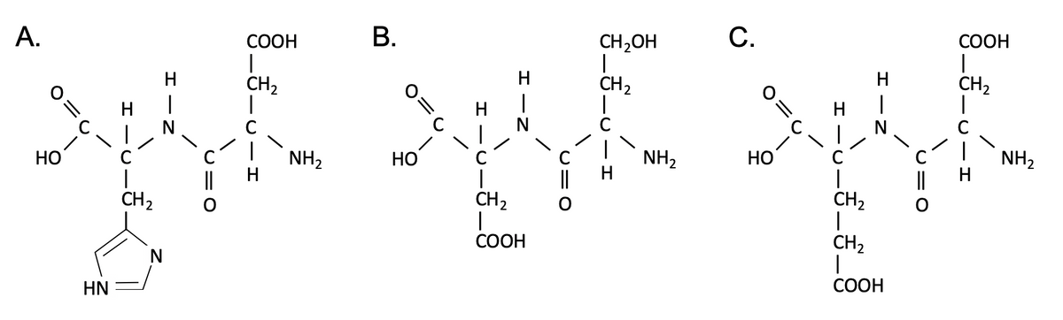 В.
С.
СООН
CH,OH
|
CH2
А.
СООН
H.
H
CH2
CH2
O:
H
|
H
C
HO
|
NH2
НО
C
NH,
НО
|
CH2
NH2
H
||
CH2
||
CH2
СООН
CH2
СООН
HN
