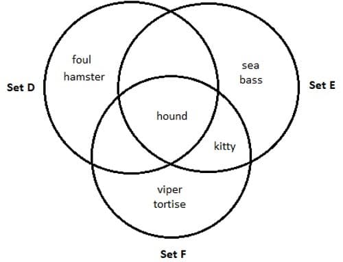 foul
sea
hamster
bass
Set D
Set E
hound
kitty
viper
tortise
Set F
