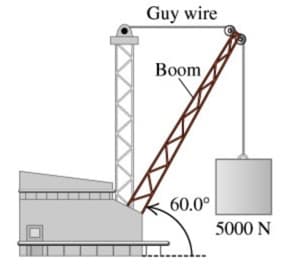 Guy wire
Boom
60.0°
5000 N
