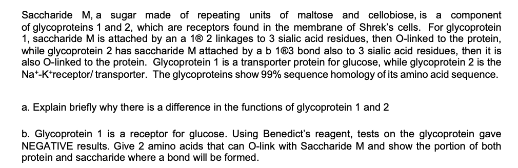 Saccharide M, a sugar made of repeating units of maltose and cellobiose, is a component
of glycoproteins 1 and 2, which are receptors found in the membrane of Shrek's cells. For glycoprotein
1, saccharide M is attached by an a 1® 2 linkages to 3 sialic acid residues, then O-linked to the protein,
while glycoprotein 2 has saccharide M attached by a b 1®3 bond also to 3 sialic acid residues, then it is
also O-linked to the protein. Glycoprotein 1 is a transporter protein for glucose, while glycoprotein 2 is the
Na*-K*receptor/ transporter. The glycoproteins show 99% sequence homology of its amino acid sequence.
a. Explain briefly why there is a difference in the functions of glycoprotein 1 and 2
b. Glycoprotein 1 is a receptor for glucose. Using Benedict's reagent, tests on the glycoprotein gave
NEGATIVE results. Give 2 amino acids that can O-link with Saccharide M and show the portion of both
protein and saccharide where a bond will be formed.
