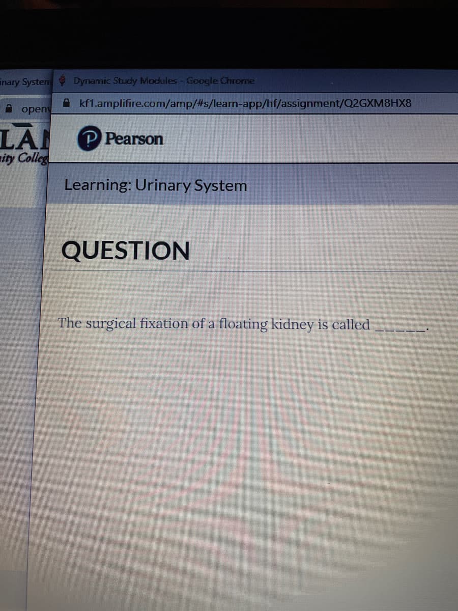 inary System Dynamic Study Modules-Google Chrome
A kf1.amplifire.com/amp/23s/leam-app/hf/assignment/Q2GXM8HX8
A openy
LAI
ity Colleg
P Pearson
Learning: Urinary System
QUESTION
The surgical fixation of a floating kidney is called
