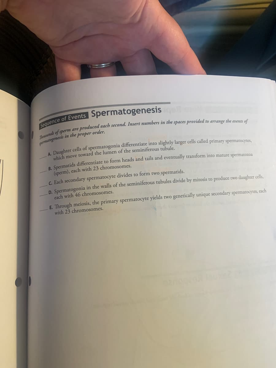 Spermatogenesis ge
Sequence of Events
permatogenesis in the proper order.
which move toward the lumen of the seminiferous tubule.
a Saermatids differentiate to form heads and tails and eventually transform into mature spermatozoa
(sperm), each with 23 chromosomes.
C. Each secondary spermatocyte divides to form two spermatids.
D. Spermatogonia in the walls of the seminiferous tubules divide by mitosis to produce two daughter cells.
each with 46 chromosomes.
E. Through meiosis, the primary spermatocyte yields two genetically unique secondary spermatocytes, each
with 23 chromosomes.
