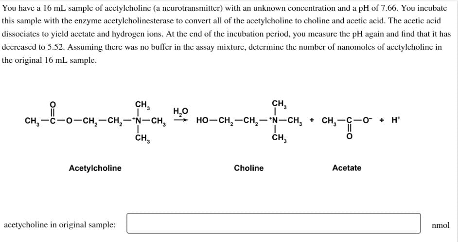 You have a 16 mL sample of acetylcholine (a neurotransmitter) with an unknown concentration and a pH of 7.66. You incubate
this sample with the enzyme acetylcholinesterase to convert all of the acetylcholine to choline and acetic acid. The acetic acid
dissociates to yield acetate and hydrogen ions. At the end of the incubation period, you measure the pH again and find that it has
decreased to 5.52. Assuming there was no buffer in the assay mixture, determine the number of nanomoles of acetylcholine in
the original 16 mL sample.
Acetylcholine
CH₂
acetycholine in original sample:
CH,—C−O−CH,—CH,AN-CH, HO–CH,—CH,*N–CH, + CHy
H₂O
I
CH3
CH3
Choline
CH₂
CH,-GO + H
Acetate
nmol