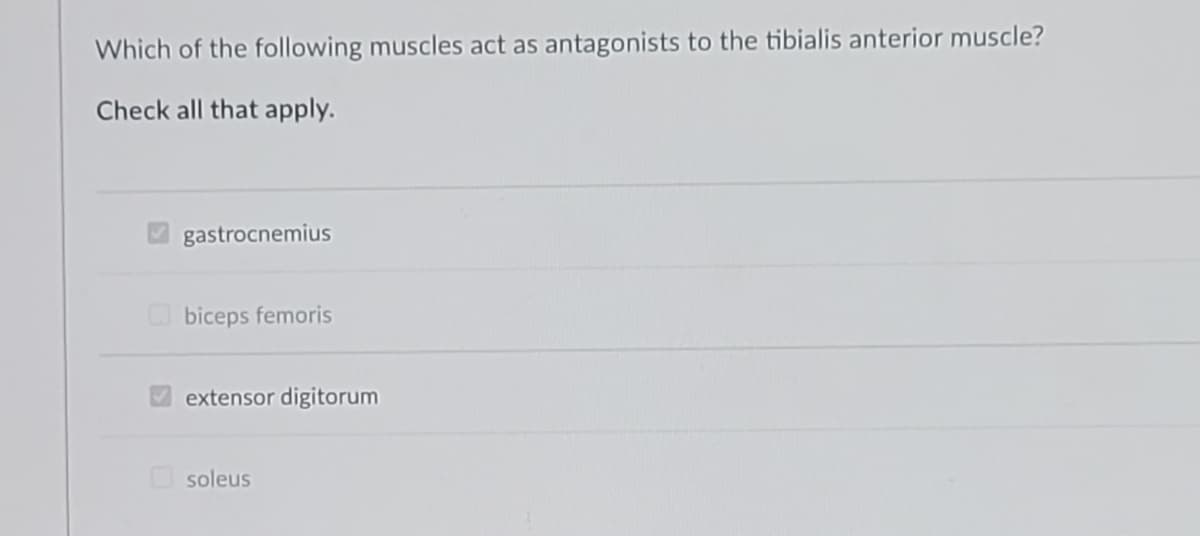 Which of the following muscles act as antagonists to the tibialis anterior muscle?
Check all that apply.
gastrocnemius
biceps femoris
extensor digitorum
soleus