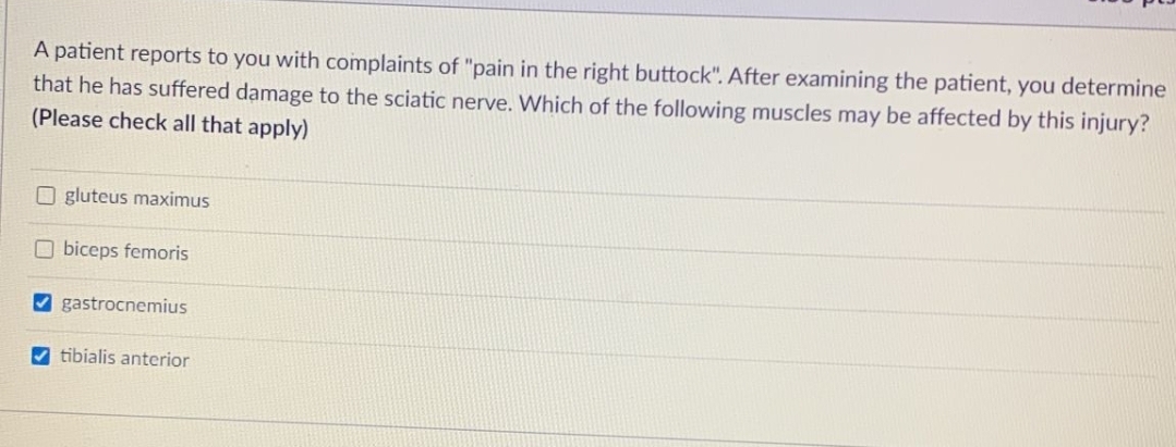 A patient reports to you with complaints of "pain in the right buttock". After examining the patient, you determine
that he has suffered damage to the sciatic nerve. Which of the following muscles may be affected by this injury?
(Please check all that apply)
Ogluteus maximus
biceps femoris
gastrocnemius
tibialis anterior