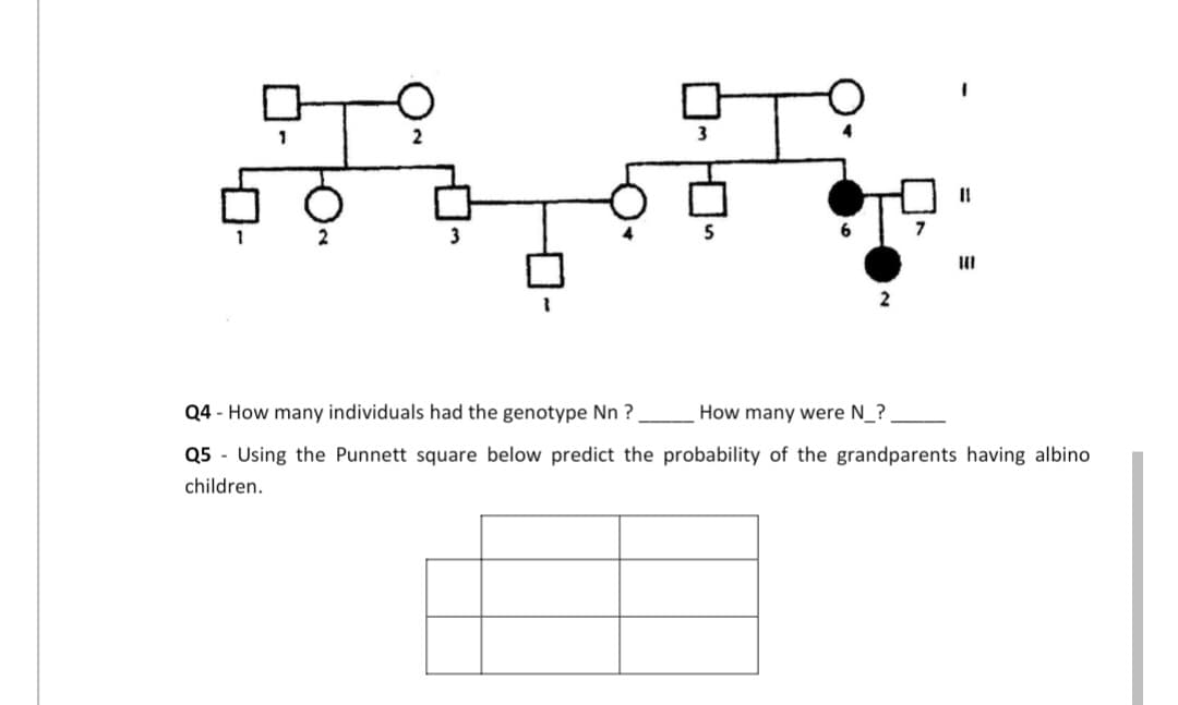 1
1
11
Q4 - How many individuals had the genotype Nn ?
How many were N_?
Q5 Using the Punnett square below predict the probability of the grandparents having albino
children.