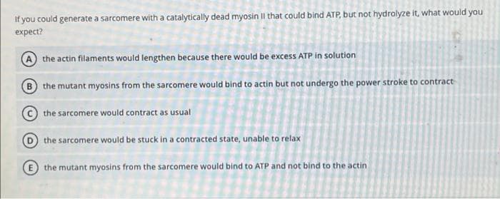 If you could generate a sarcomere with a catalytically dead myosin Il that could bind ATP, but not hydrolyze it, what would you
expect?
A the actin filaments would lengthen because there would be excess ATP in solution
B the mutant myosins from the sarcomere would bind to actin but not undergo the power stroke to contract
the sarcomere would contract as usual
the sarcomere would be stuck in a contracted state, unable to relax
the mutant myosins from the sarcomere would bind to ATP and not bind to the actin
