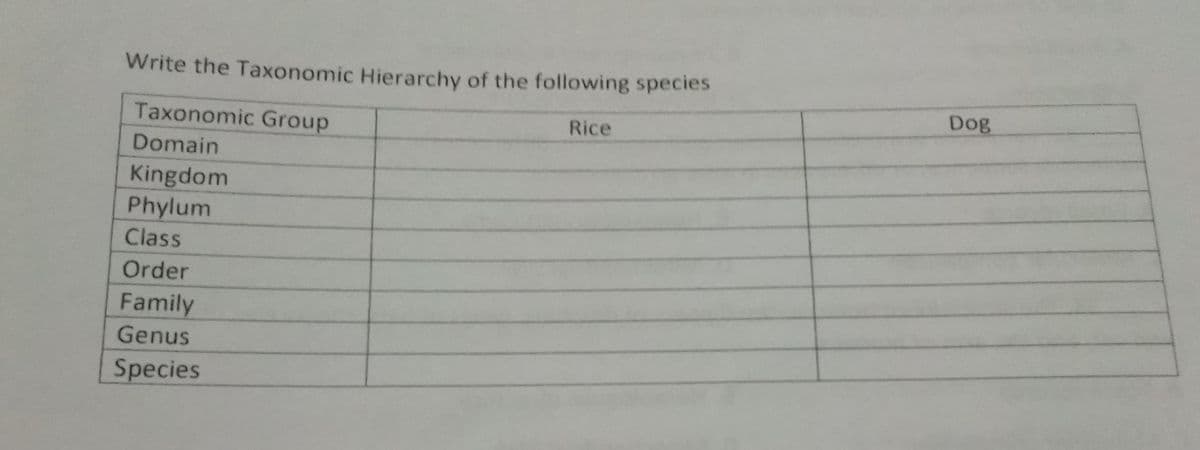 Write the Taxonomic Hierarchy of the following species
Dog
Taxonomic Group
Rice
Domain
Kingdom
Phylum
Class
Order
Family
Genus
Species
