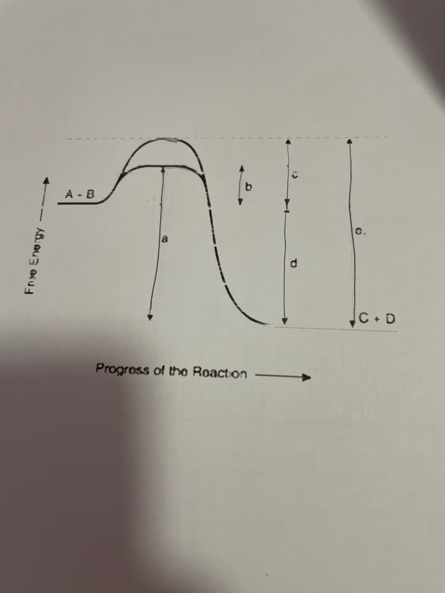 Free Energy
A B
Progress of the Reaction
C.D