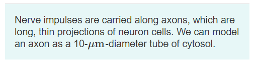 Nerve impulses are carried along axons, which are
long, thin projections of neuron cells. We can model
an axon as a 10-µm-diameter tube of cytosol.
