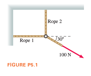 Rope 2
J30°
Rope 1
100 N
FIGURE P5.1
