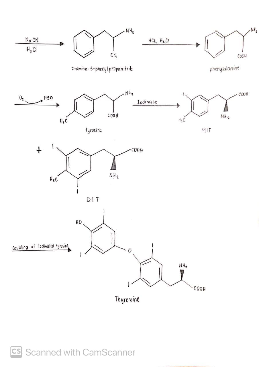 NH2
Na CN
HCL, H:0
H,0
CN
COCH
2-amino-3-phenyl propanitrile
phenylalanine
NH2
COH
02
H20
Iodinase
C00H
NH 2
H3C
H3C
tyrosine
MIT
COOH
NH2
H3C
DIT
но
Coupling of lodinoted tynsine
COOH
Thyroxine
CS Scanned with CamScanner
