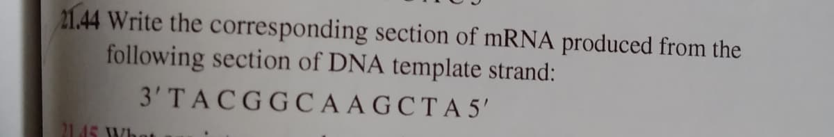 21.44 Write the corresponding section of mRNA produced from the
following section of DNA template strand:
3' TACGG C A AG C T A 5'
2145 Who
