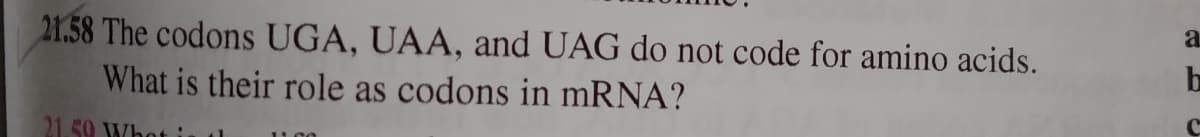 21.58 The codons UGA, UAA, and UAG do not code for amino acids.
What is their role as codons in mRNA?
a
b
21.59
