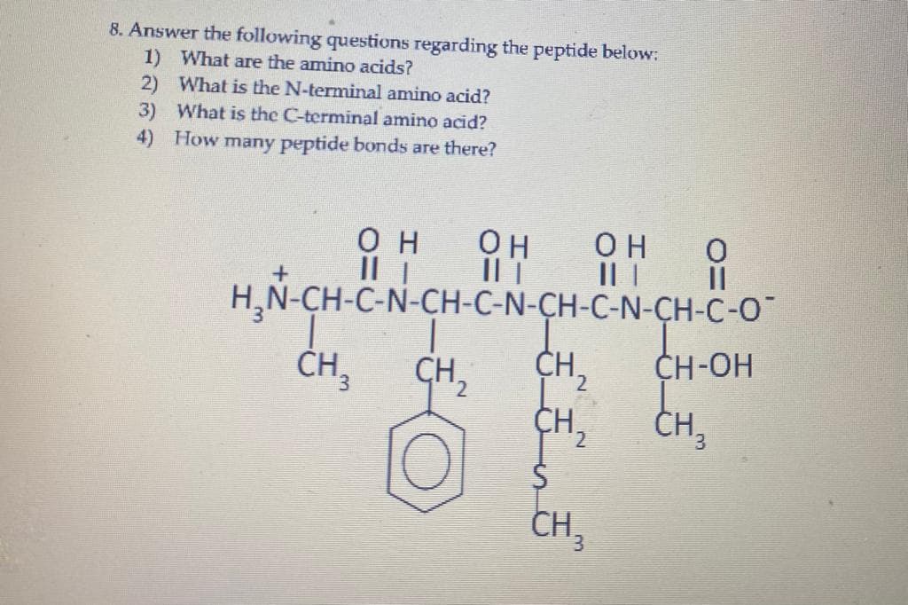 8. Answer the following questions regarding the peptide below:
1) What are the amino acids?
2) What is the N-terminal amino acid?
3) What is the C-terminal amino acid?
4) How many peptide bonds are there?
ОН
IL T
H,N-CH-C-N-CH-C-N-CH-C-N-CH-C-O
он
IL |
OH O
I| |
CH,
CH,
CH,
2.
CH-OH
CH, CH,
CH,
