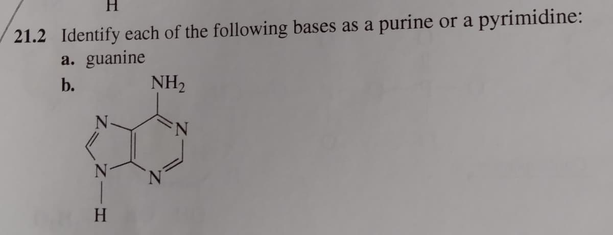 21.2 Identify each of the following bases as a purine or a pyrimidine:
a. guanine
b.
NH2
N.
N.
H.
