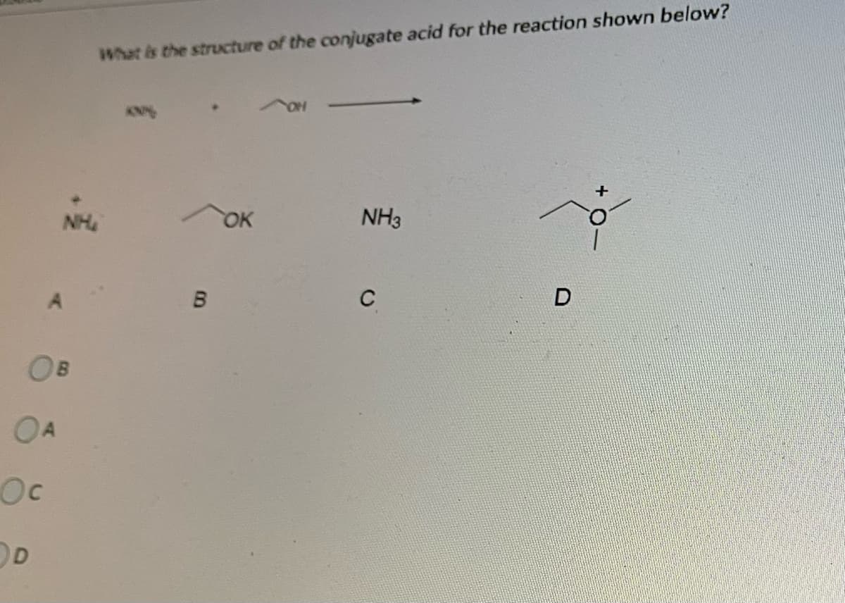 What is the structure of the conjugate acid for the reaction shown below?
NH
OK
NH3
C
OA
Oc
D
00

