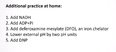 Additional practice at home:
1. Add NADH
2. Add ADP+Pi
3. Add deferoxamine mesylate (DFO), an iron chelator
4. Lower external pH by two pH units
5. Add DNP
