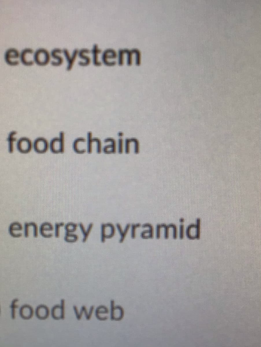 ecosystem
food chain
energy pyramid
food web
