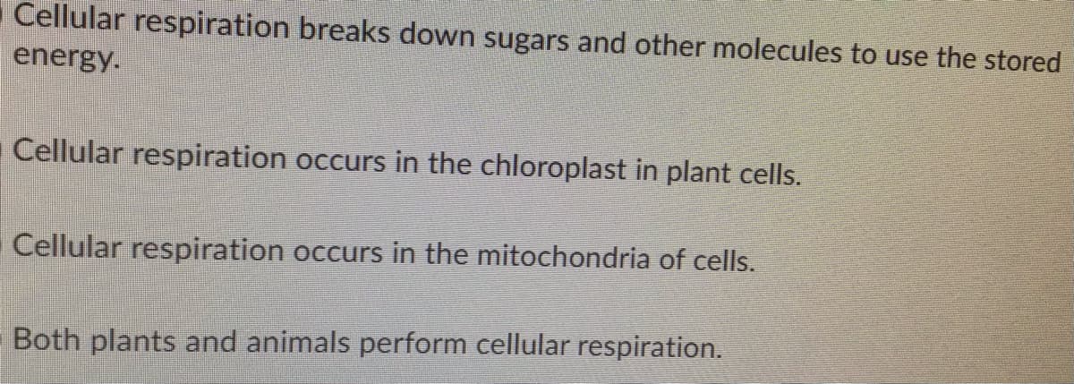 Cellular respiration breaks down sugars and other molecules to use the stored
energy.
Cellular respiration occurs in the chloroplast in plant cells.
Cellular respiration occurs in the mitochondria of cells.
Both plants and animals perform cellular respiration.
