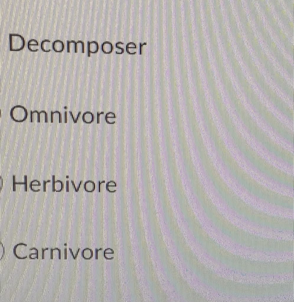 Decomposer
Omnivore
Herbivore
Carnivore
