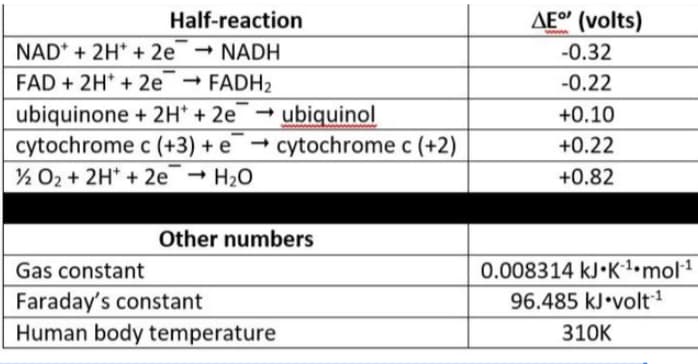 Half-reaction
AEº (volts)
ww.
NAD* + 2H* + 2e - NADH
-0.32
FAD + 2H* + 2e FADH2
ubiquinone + 2H* + 2e ubiquinol
cytochrome c (+3) + e cytochrome c (+2)
½ 02 + 2H* + 2e
-0.22
+0.10
+0.22
- H20
+0.82
Other numbers
Gas constant
0.008314 kJ•K1•mol1
Faraday's constant
Human body temperature
96.485 kJ•volt
310K

