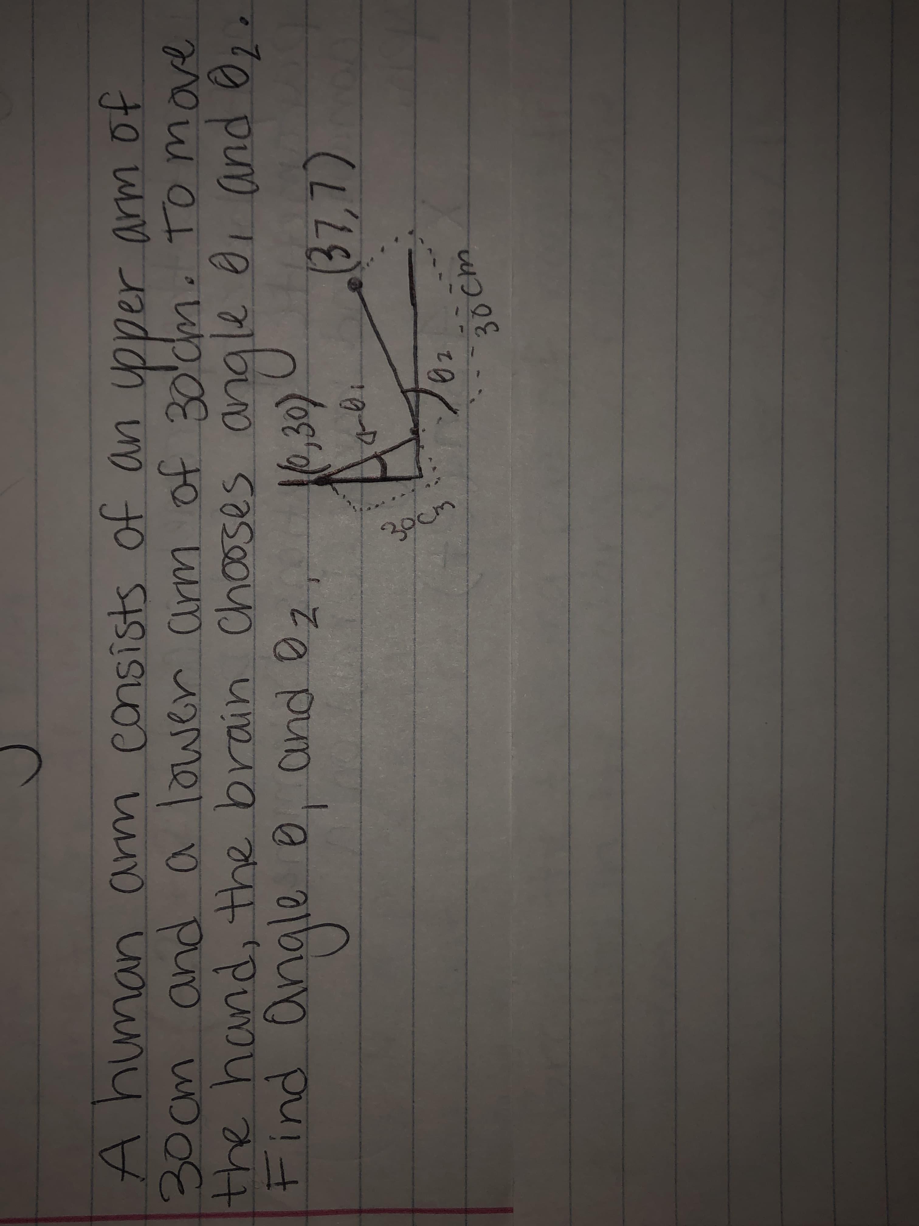 39cm
A human arm cnsists of an upper arm Of
30cm and a lower Carm of 30'cm. To mave
the hand, the brain Chooses angle 0i and 02.
Find angle 0, and 02
(L'27)
