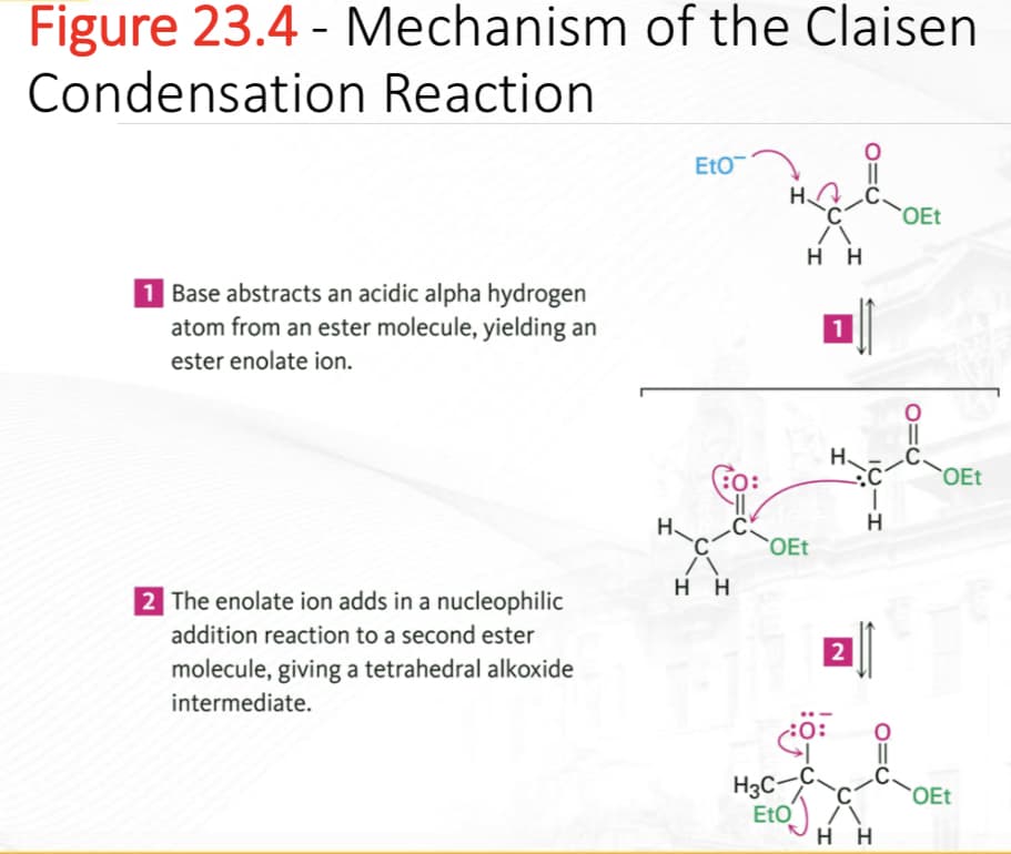 Figure 23.4 - Mechanism of the Claisen
Condensation Reaction
1 Base abstracts an acidic alpha hydrogen
atom from an ester molecule, yielding an
ester enolate ion.
2 The enolate ion adds in a nucleophilic
addition reaction to a second ester
molecule, giving a tetrahedral alkoxide
intermediate.
H.
EtO
FO:
C
C
A
HH
H.
H3C-
OEt
нн
Eto
30:
1
H.
2
ICIH
HH
OEt
010
C.
OEt
OEt