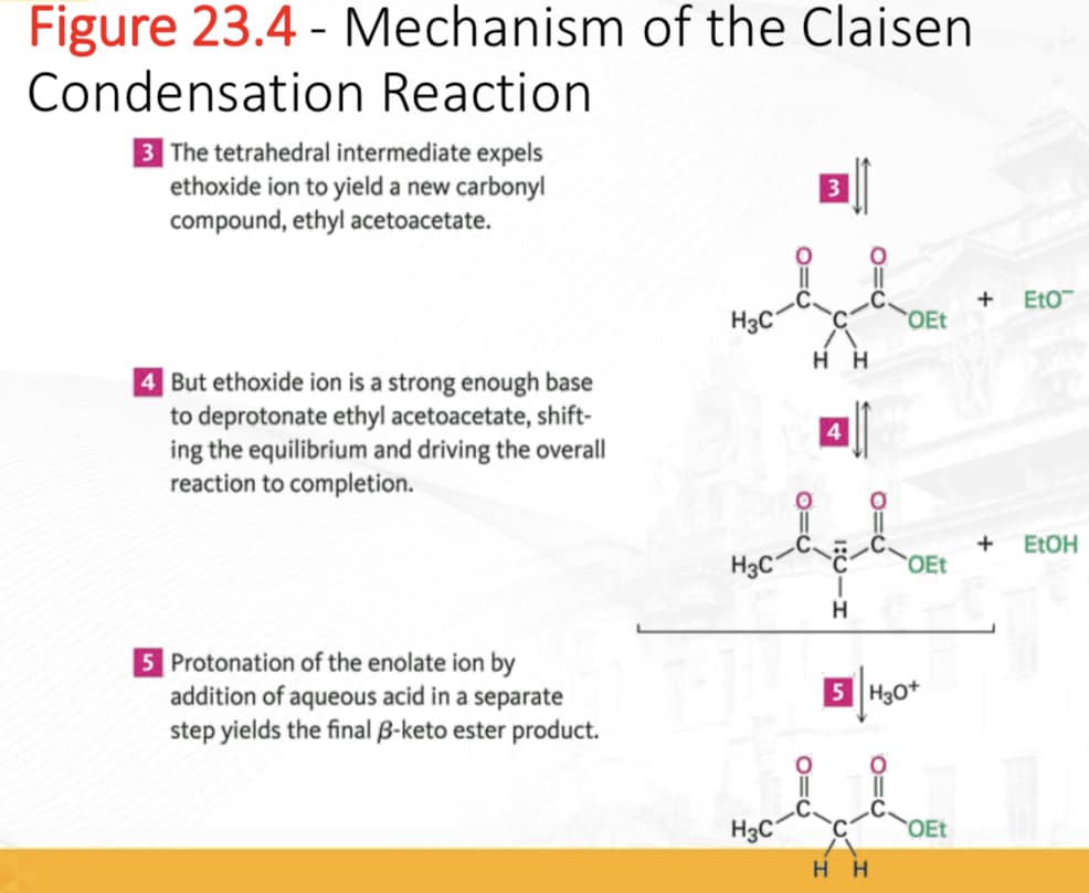 Figure 23.4 - Mechanism of the Claisen
Condensation Reaction
3 The tetrahedral intermediate expels
ethoxide ion to yield a new carbonyl
compound, ethyl acetoacetate.
4 But ethoxide ion is a strong enough base
to deprotonate ethyl acetoacetate, shift-
ing the equilibrium and driving the overall
reaction to completion.
5 Protonation of the enolate ion by
addition of aqueous acid in a separate
step yields the final 3-keto ester product.
H3C
H3C
H3C
O=U
O=C
HH
4
1:CIH
O=C
Η Η
OEt
OEt
5 H30+
OEt
+ EtO™
+ EtOH