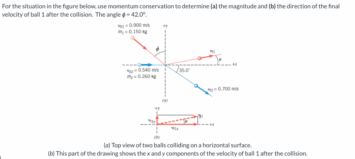 For the situation in the figure below, use momentum conservation to determine (a) the magnitude and (b) the direction of the final
velocity of ball 1 after the collision. The angle = 42.0⁰.
101 = 0.900 m/s
m₁ = 0.150 kg
¹02= 0.540 m/s
m₂ = 0.260 kg
+y
Ufly
1
I
(b)
I
(a)
Uflx
35.0*
Uf1
8
·+x
+X
¹2 = 0.700 m/s
(a) Top view of two balls colliding on a horizontal surface.
(b) This part of the drawing shows the x and y components of the velocity of ball 1 after the collision.