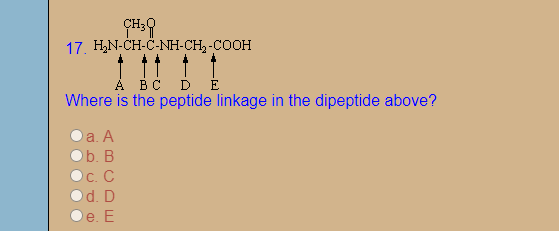 17. H,N-CH-C-NH-CH, -COOH
À BC D Ė
Where is the peptide linkage in the dipeptide above?
a. A
Ob. B
Oc. C
od. D
e. E
