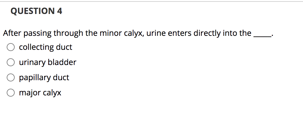 QUESTION 4
After passing through the minor calyx, urine enters directly into the
collecting duct
urinary bladder
papillary duct
major calyx
