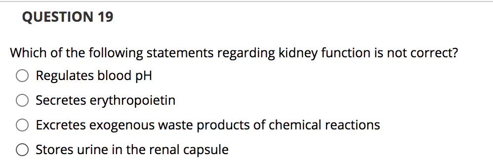 QUESTION 19
Which of the following statements regarding kidney function is not correct?
O Regulates blood pH
Secretes erythropoietin
Excretes exogenous waste products of chemical reactions
Stores urine in the renal capsule
