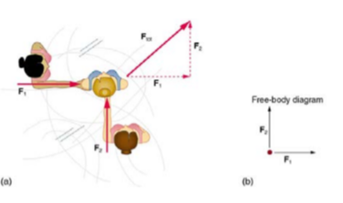 Free-body diagram
(a)
(b)
