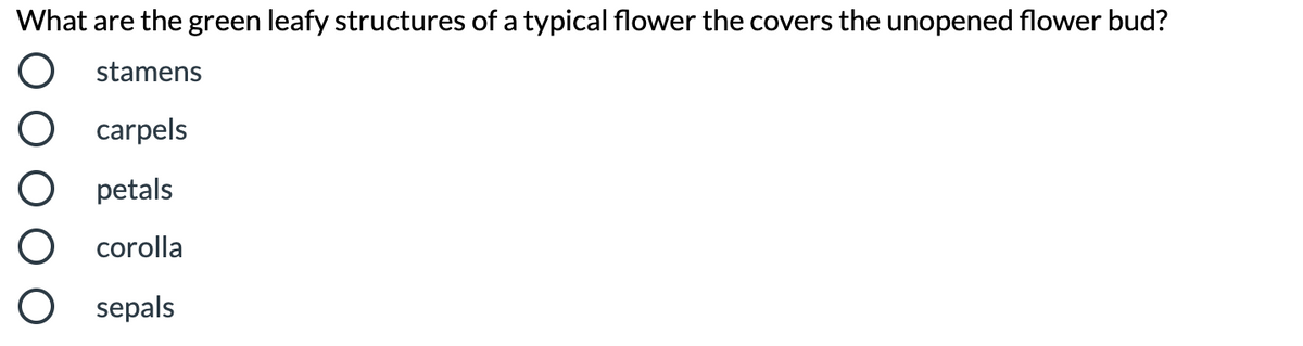 What are the green leafy structures of a typical flower the covers the unopened flower bud?
stamens
carpels
petals
corolla
O sepals
