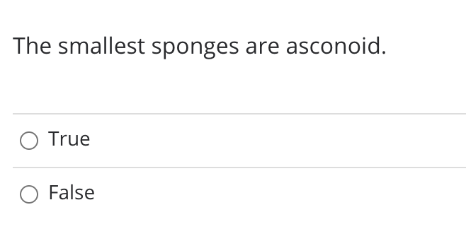 The smallest sponges are asconoid.
O True
False
