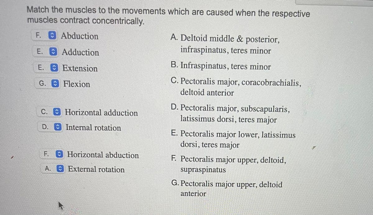 Match the muscles to the movements which are caused when the respective
muscles contract concentrically.
F. Abduction
A. Deltoid middle & posterior,
infraspinatus, teres minor
E.
Adduction
B. Infraspinatus, teres minor
Extension
Flexion
C. Pectoralis major, coracobrachialis,
deltoid anterior
Horizontal adduction
D. Pectoralis major, subscapularis,
latissimus dorsi, teres major
E. Pectoralis major lower, latissimus
dorsi, teres major
F. Pectoralis major upper, deltoid,
supraspinatus
G. Pectoralis major upper, deltoid
anterior
E.
G.
C.
D. Internal rotation
F.
A. External rotation
Horizontal abduction
7